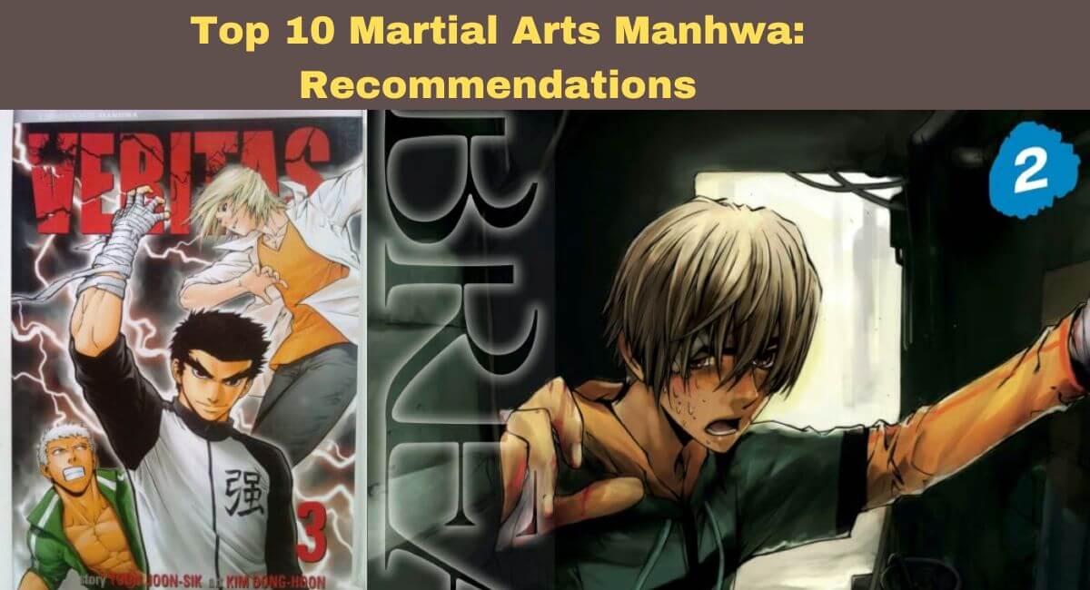 Top 10 Best High School Fighter Manhwa Ever 